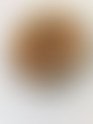 PUHASTE PALAČINKE Z BOROVNICAMI