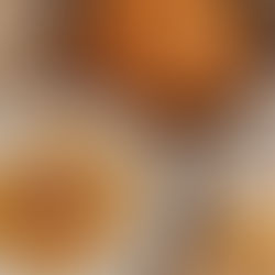 POTUHNJENI BOLOGNESE