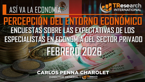 PERCEPCIÓN DEL ENTORNO ECONÓMICO EN MÉXICO