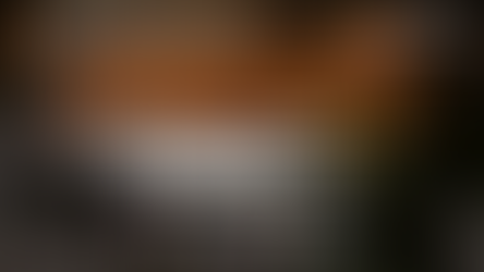 DETENCIONES EN LA FRONTERA EE.UU.