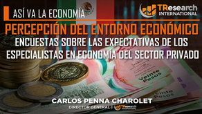 PERCEPCIÓN DEL ENTORNO ECONÓMICO EN MÉXICO
