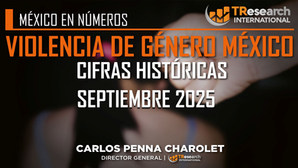VIOLENCIA DE GÉNERO EN MÉXICO (SEP/25)