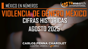 VIOLENCIA DE GÉNERO EN MÉXICO (AGO/25)
