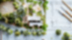 AdobeStock_831969051_Preview.jpeg