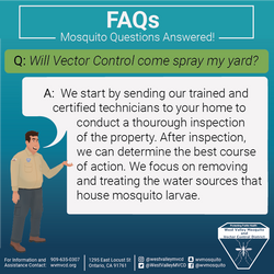 does vector spray?