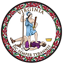 Remote Online Notary Public