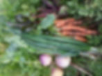 Glendale Arizona Fresh Organic Produce
