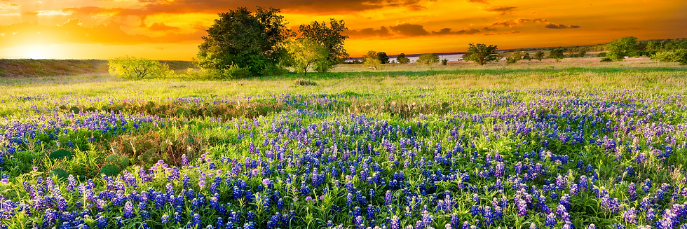 Notary Public, Burnet Texas 78611, Notary Near 78611, Notary Public Near 78611, Notary Public Burnet Texas 78611