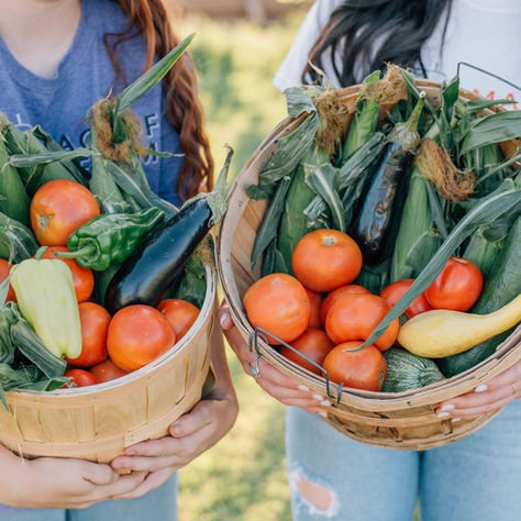 Pick Farm Fresh, Organic, Produce in Glendale Arizona
