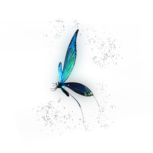 Chrysalis Butterfly