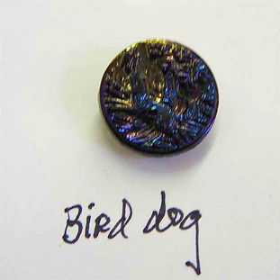 Bird Dog button