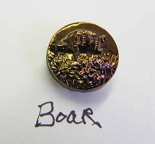 Boar button