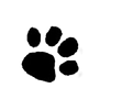 265-2656815_pawprint-clipart-trail-paw-print-clipart-transparent-background-removebg-previ