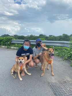 photo_2021-01-21_17-42-05