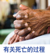 有关死亡的过程