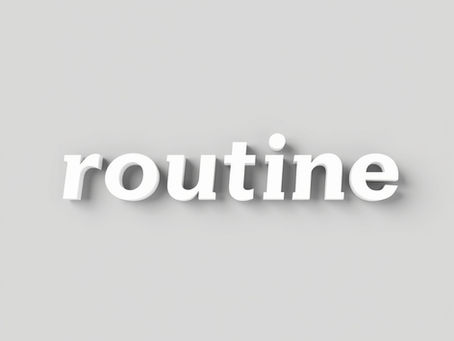 Daily Trading Routine
