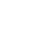 Grid with Half Border Black