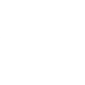 Grid with Half Border Black
