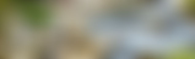 Volver A Ti: Una Experiencia Para Empezar El Año Desde El Autocuidado