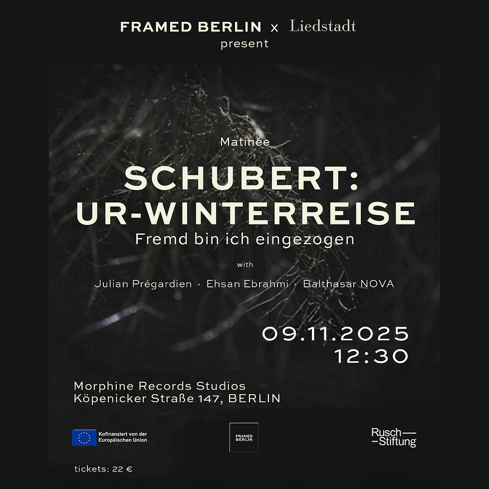 FRAMED BERLIN x Liedstadt 