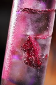 Pink cocktail