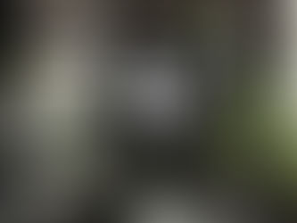 Quand la beauté de l’art rencontre la stratégie des entreprises et des professions libérales par Géraldine Auret