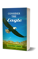 Consider the Eagle