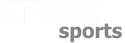 ES-AltTextWhiteGray (1).png