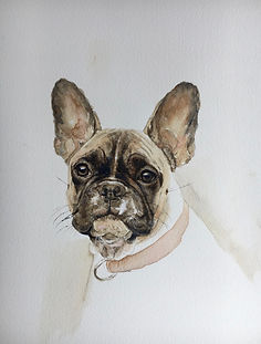 bulldog.jpeg