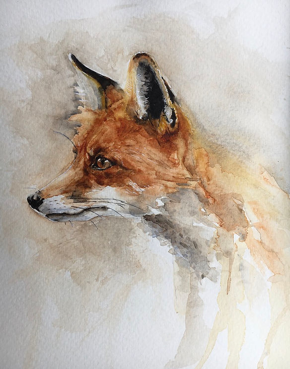 fox.jpeg