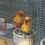 Thumbnail: Sun Conures