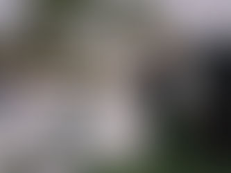 A newlywed couple entering reception area with live music