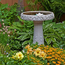 bird bath example.jpg