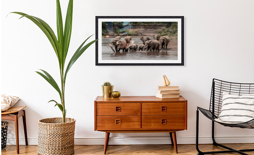 Troupeau d'éléphants adultes et bébés prenant un bain dans la rivière.