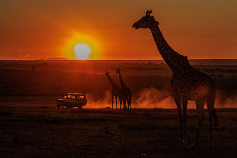 Afrique Landscape