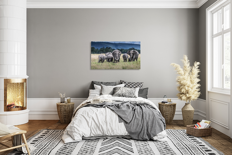Famille d'éléphants dans un champ verdoyant avec des montagnes lointaines.
