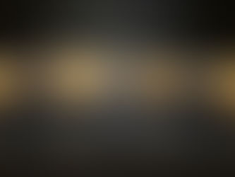 مخطوطات الحبر الذهبي تتألق في بيت الوطن