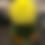 Thumbnail: Louis White
