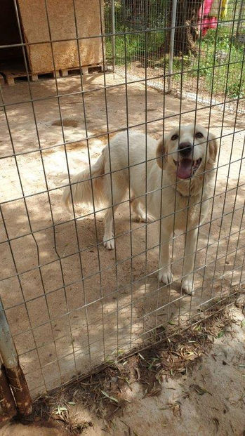 Unsere Tiere_Tilda17