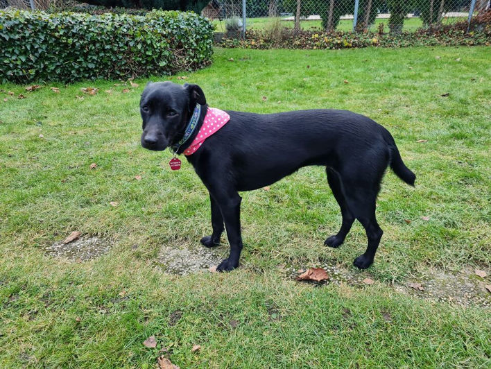 Unsere Tiere_Marta15