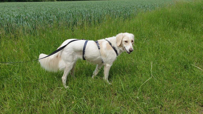 Unsere Tiere_Tilda33