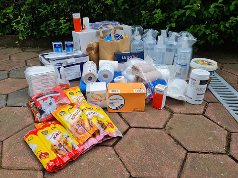 Tierschutz in Patras_Spendentransporte_69. Transport_Spendensammlung7