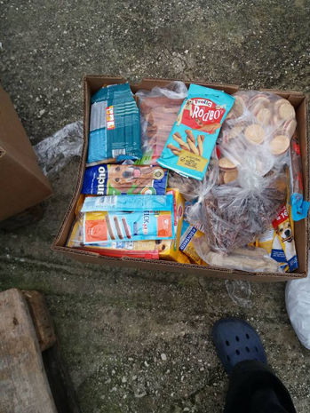 Tierschutz in Patras_Spendentransporte_31. Transport_Ankunft Spenden12.jpg