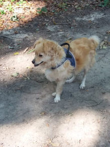 Unsere Tiere_Miss Elli24.jpg