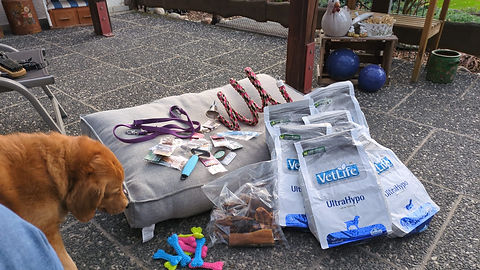Tierschutz in Patras_Spendentransporte_78. Transport_Spendensammlung5