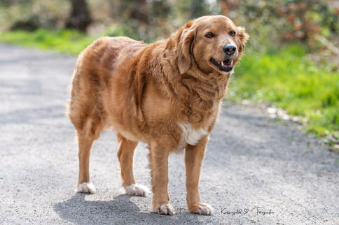 Unsere Tiere_Kanela71