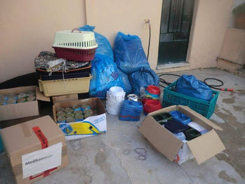 Tierschutz in Patras_Spendentransporte_4. Transport_Ankunft Spenden5.jpg
