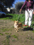 Unsere Tiere_Josy2.jpg