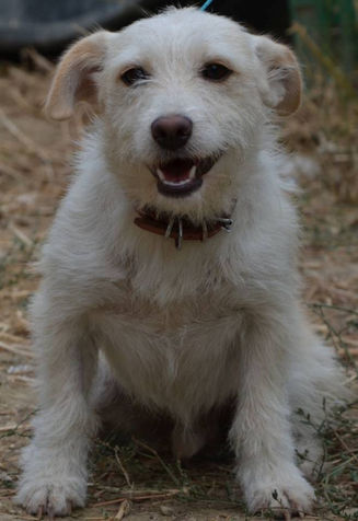 Unsere Tiere_Sascha3.jpg