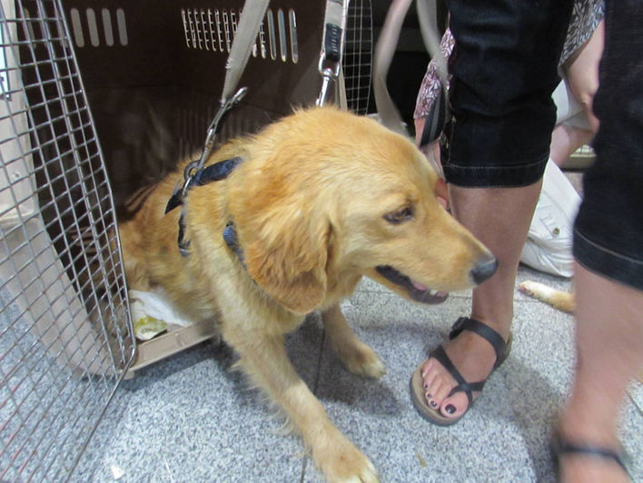 Unsere Tiere_Kanela30